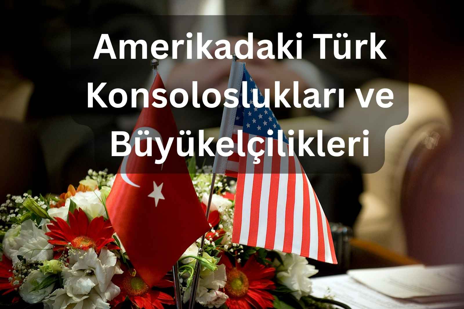 Amerikadaki türk konsoloslukları
