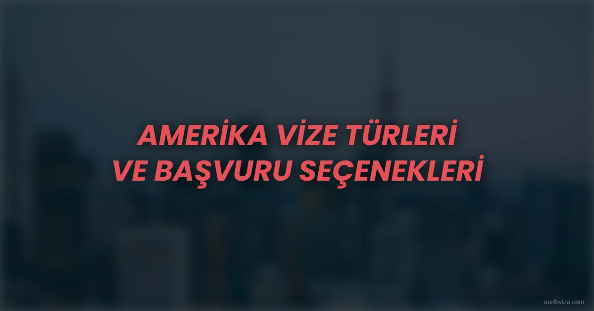 Amerika vize turleri v8